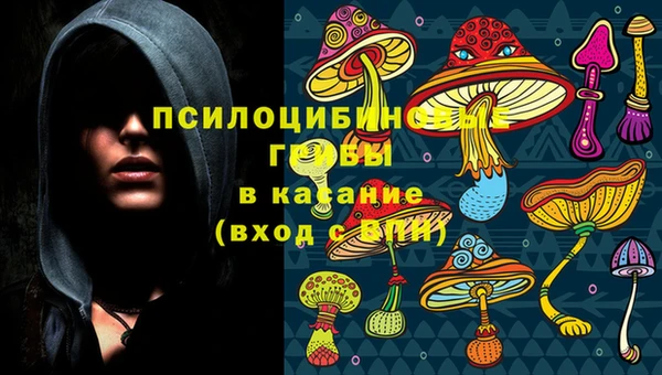каннабис Алексеевка