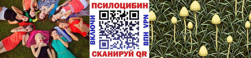 Псилоцибиновые грибы Cubensis  купить закладку  Серпухов 