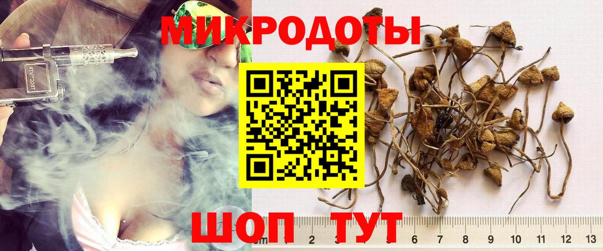 Галлюциногенные грибы Psilocybe  Вход с VPN  Серпухов  Псилоцибиновые грибы MAGIC MUSHROOMS 