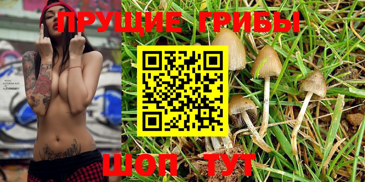 Псилоцибиновые грибы MAGIC MUSHROOMS Серпухов